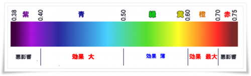 水草育成に必要な光の波長について