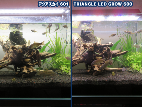 アクアスカイ601とTRIANGLE LED GROW 600の違い