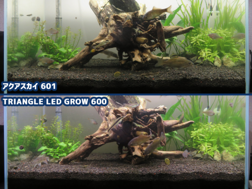 アクアスカイ601とTRIANGLE LED GROW 600の違い